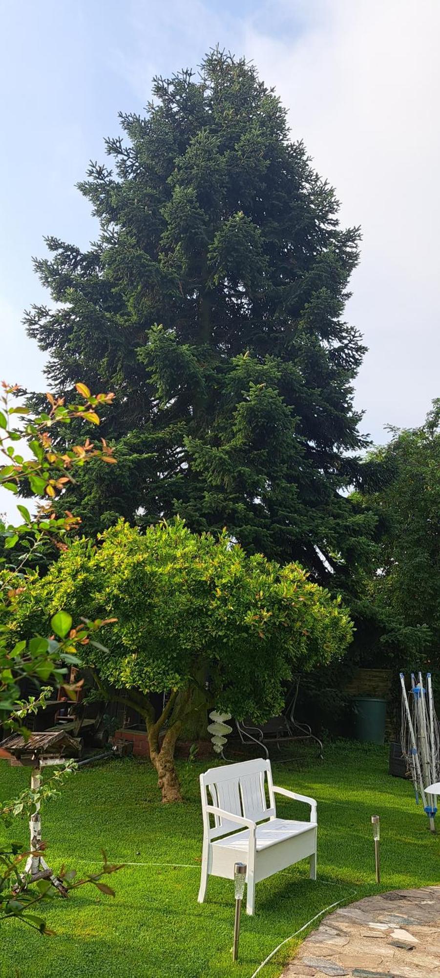 Bungalow An Der Tanne Mit Ueberdachter Terrasse Düsseldorf Zewnętrze zdjęcie